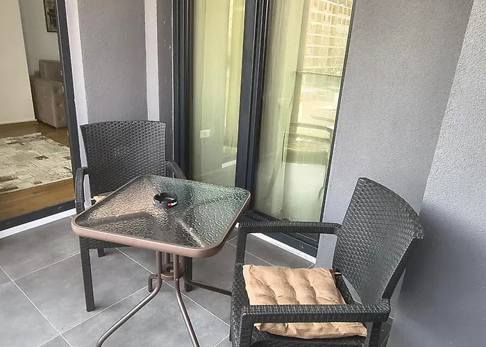 The V 1 * Скопье